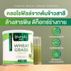 Organic Wheat Grass Chlorophyll Supplement