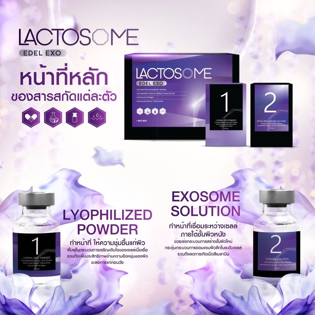 LACTOSOME EDEL EXO EXOSOME 1500 BILLION - Thaimegastore