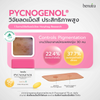 Benutra PYCNOGENOL with Ceramide From Rice Extract + Grape Skin a Pigmentation Supplement