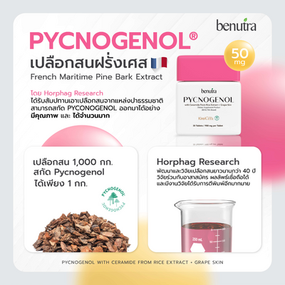 Benutra PYCNOGENOL with Ceramide From Rice Extract + Grape Skin an Antioxidant skin protection supplement