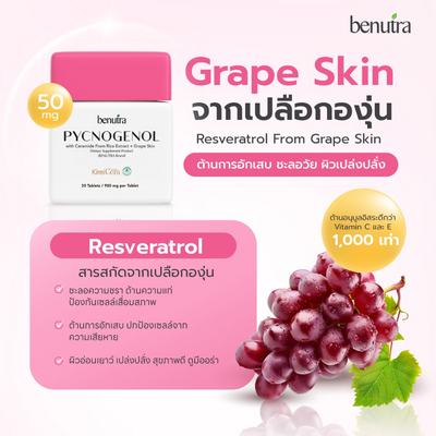 Benutra PYCNOGENOL with Ceramide From Rice Extract + Grape Skin premium ingredients