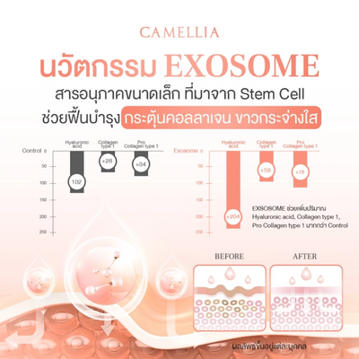 Camellia Lightweight Gel Serum