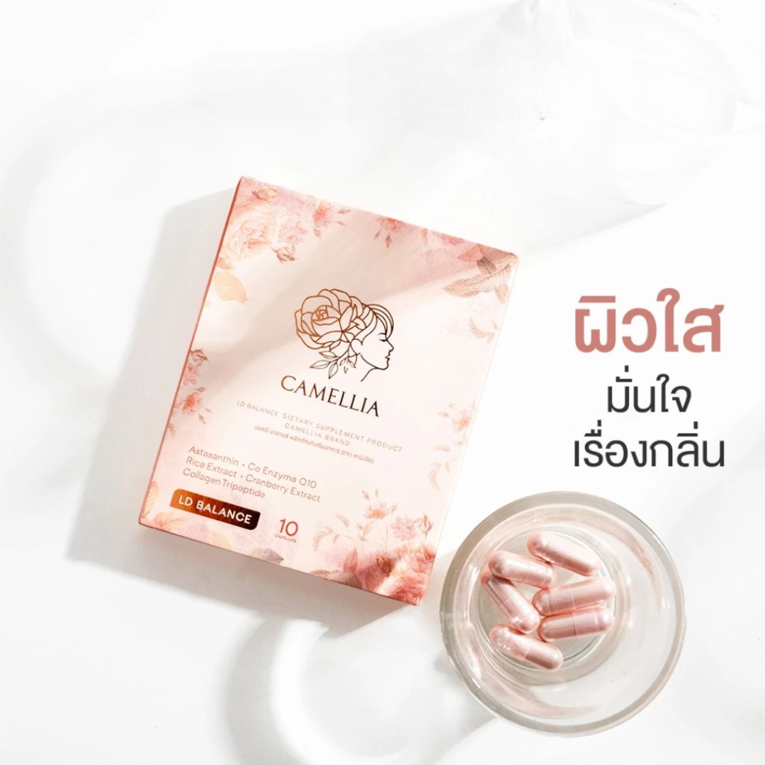 Dong Quai natural extract capsule