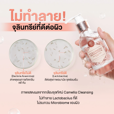 Camellia Probiotic & Peptide Formula