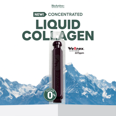 Collagen with elastin and ceramides for hydration