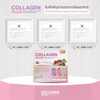 Collagen Plus sachet pack for daily use