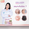 Collagen Plus three flavor options