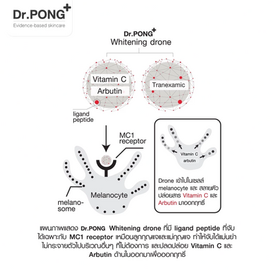 Dr.PONG MC1 body serum with Niacinamide