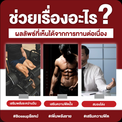 Stamina Support Supplement