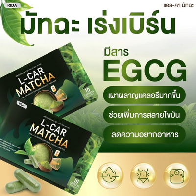 Green tea extract and L-Carnitine capsule