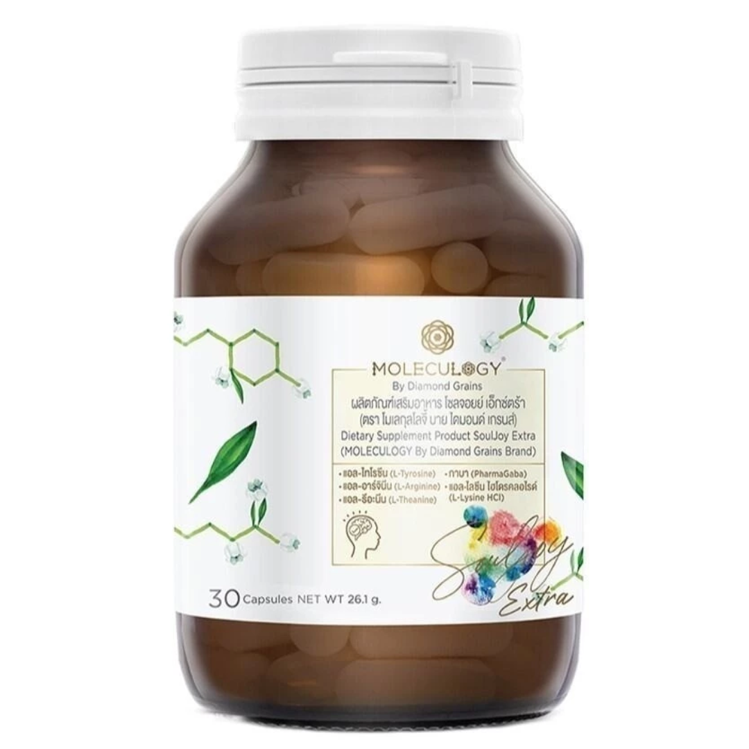 Advanced neurotransmitter support supplement