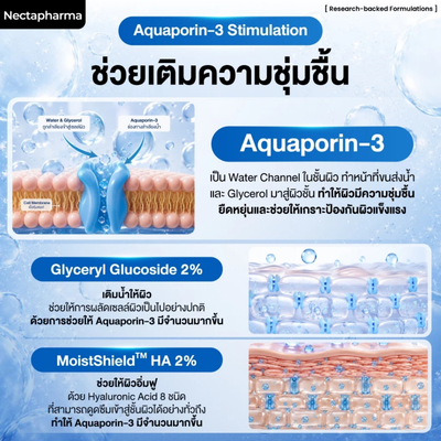 Nectapharma serum with Munapsys and Matrixyl peptides
