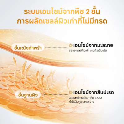 Papa Feel renewal serum fast absorbing skincare