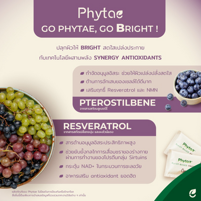 Phytae Anti-aging Plant-based Protein the highest quality