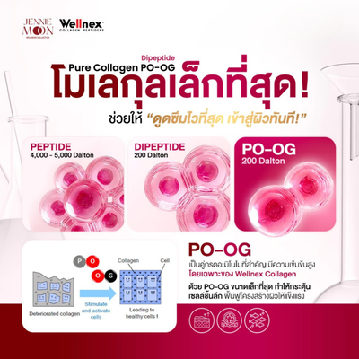 PO OG Collagen Supplement