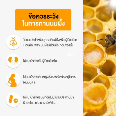 Softgel Royal Jelly Natural Dietary Supplement