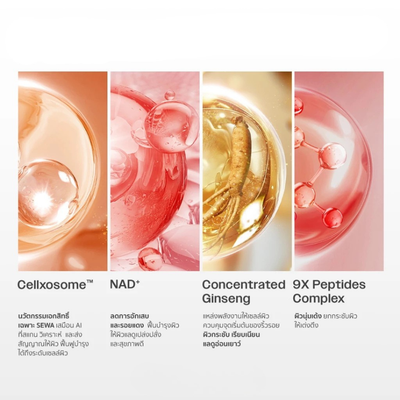 Cellxosome tech for Sewa skin recovery