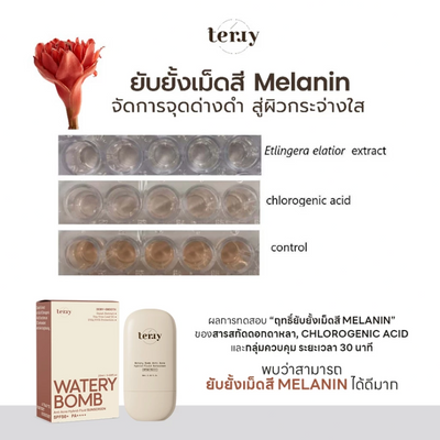 Tery Hybrid-Fluid Sunscreen lightweight texture