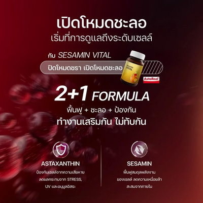 VISTRA Sesamin Vital daily antioxidant nutritional support formula