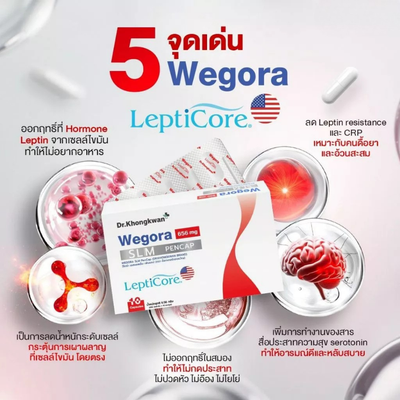 Wegora slm pencap back packaging details