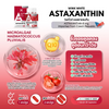 Benefits of Wink White Astaxanthin