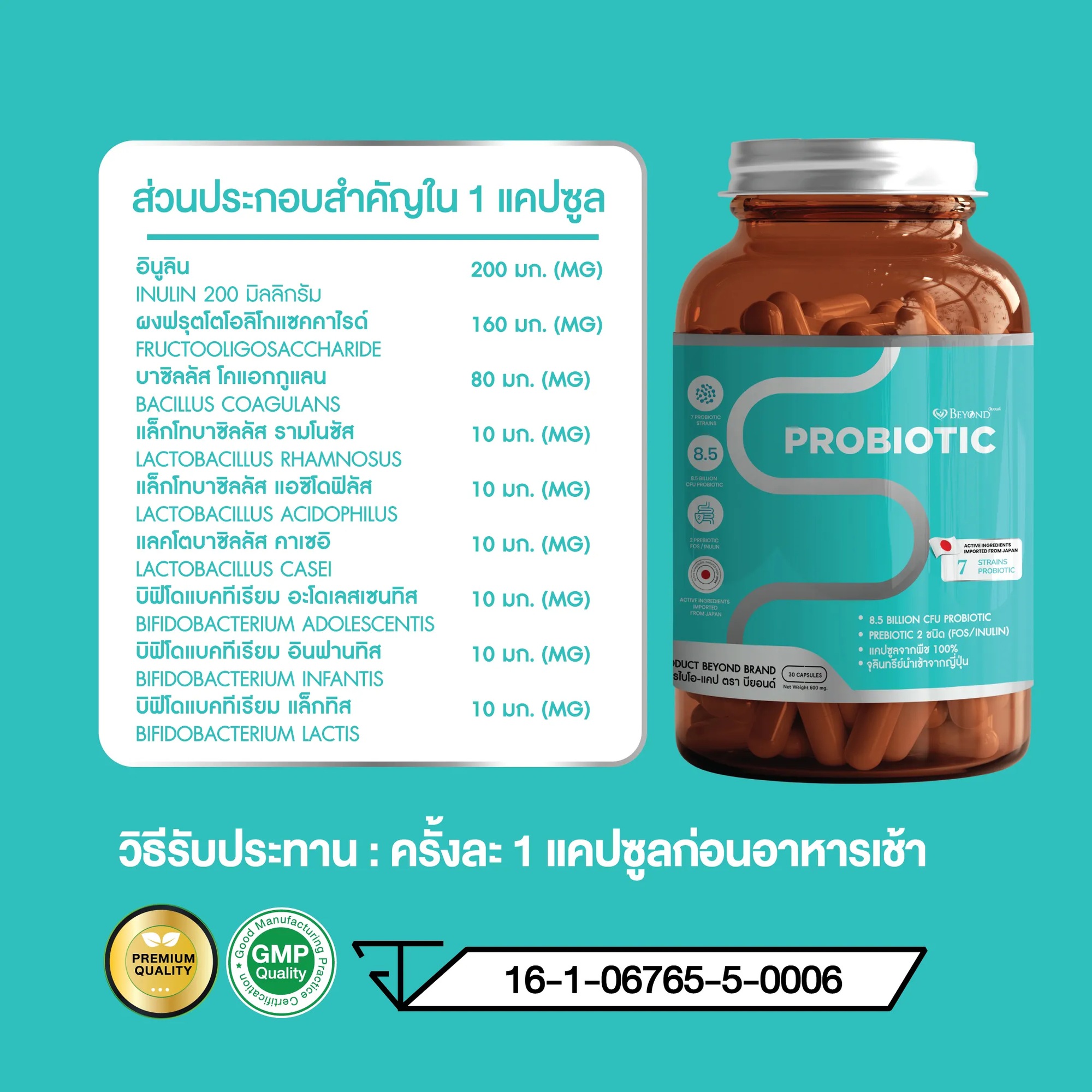 https://thaimegastore.com/cdn/shop/products/beyond-probiotics-natural-probiotics-ingredients_2000x.png?v=1677764116