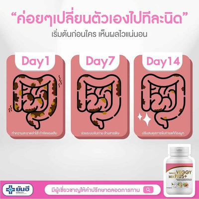 Traditional Herbal Wellness Product