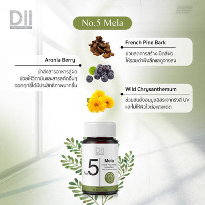 French pine bark antioxidant capsules