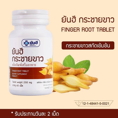 Boesenbergia rotunda capsules Yanhee