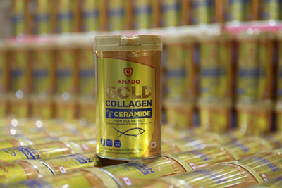 Amado Gold Collagen Plus Ceramide