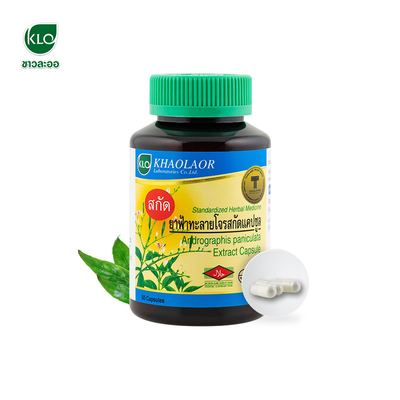 Khaolaor Andrographis paniculata extract