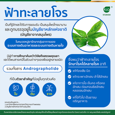 Andrographolide herbal wellness capsules