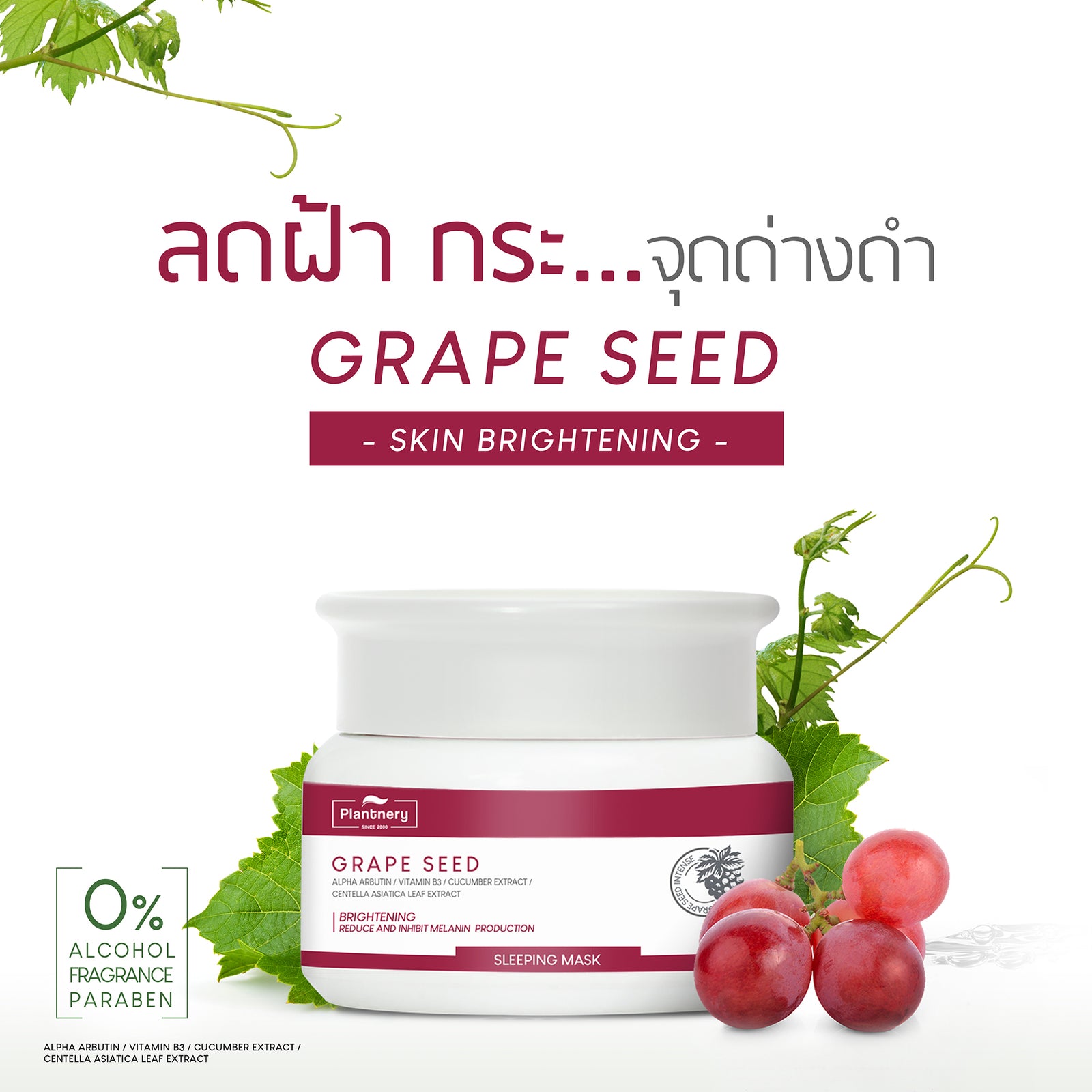 Plantnery Grape Seed Sleeping Mask 50g