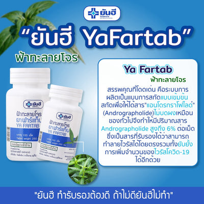 Thai herbal immune support tablets