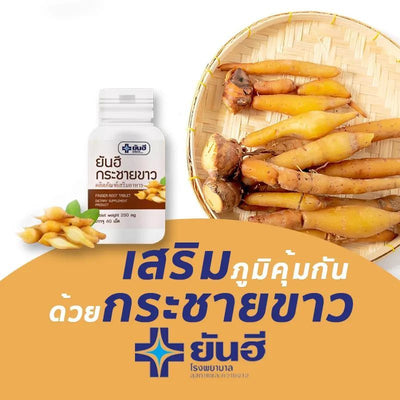 Herbal brain and heart support supplement