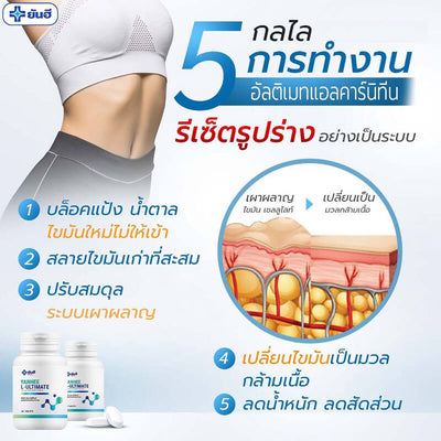 L Carnitine Wellness Supplement